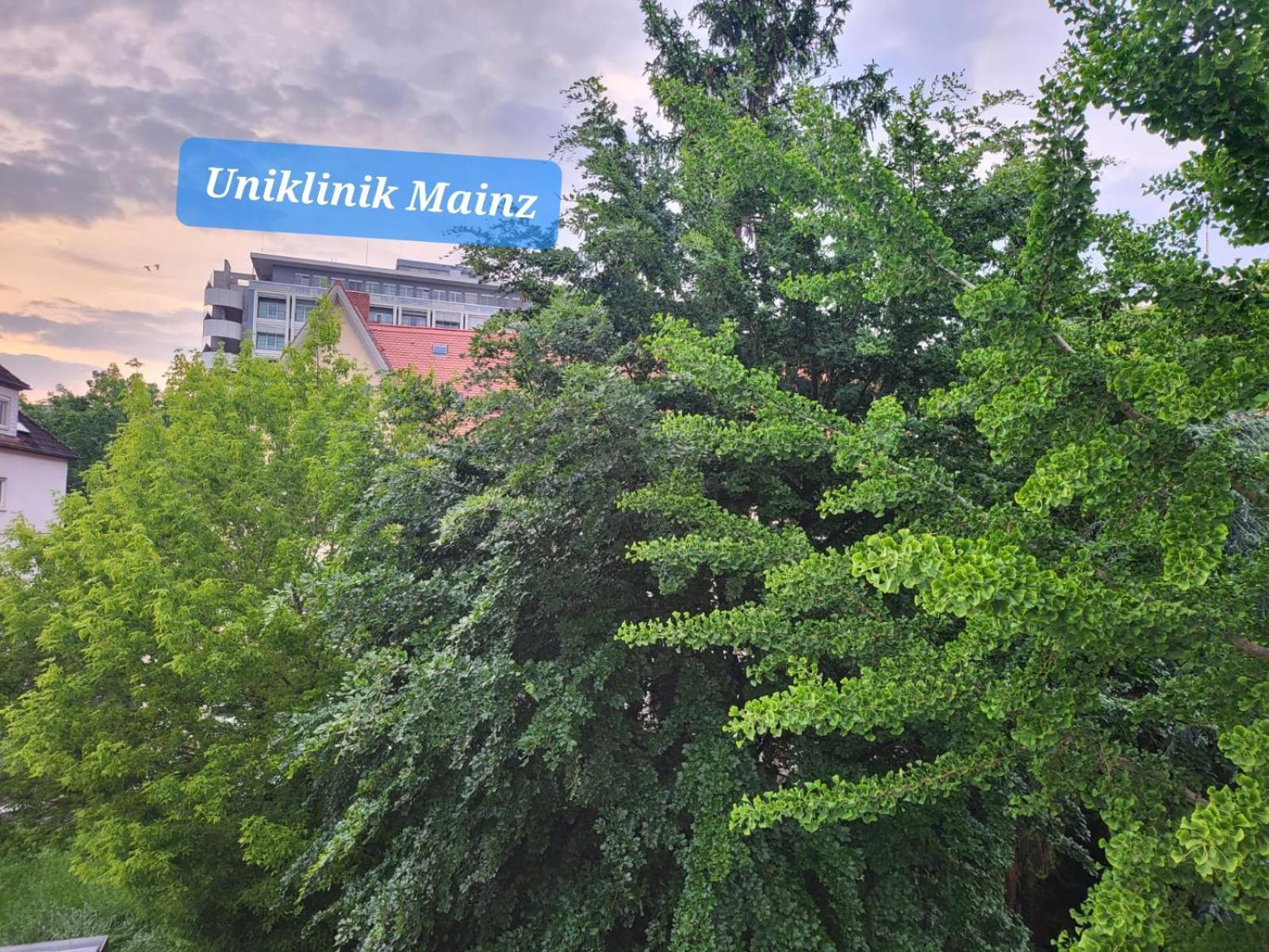 Gemuetliches Privatzimmer An Der Uniklinik Mainz. Sehr Zentral Экстерьер фото